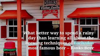 Barbados  Banks Beer A Drinking  Tasting Tour