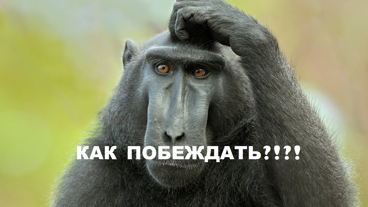 CROSSOUT-D4TH СЛИВ ПАК СНОВА В ДЕЛЕ