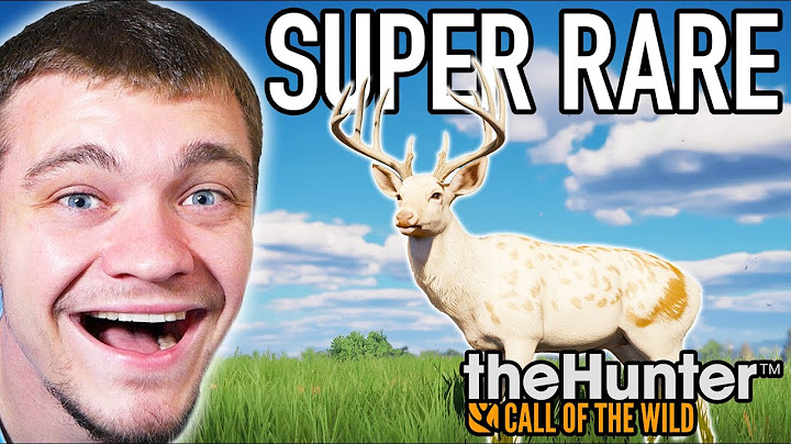 Hunting Down an EXTREMELY RARE Whitetail Deer!