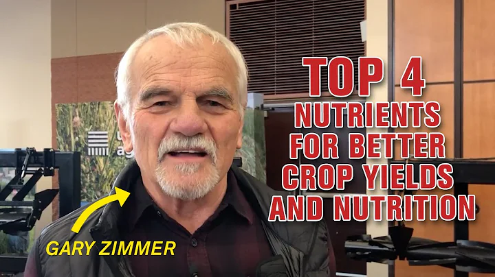 The Top 4 Nutrients for Better Crop Yields and Nutrition