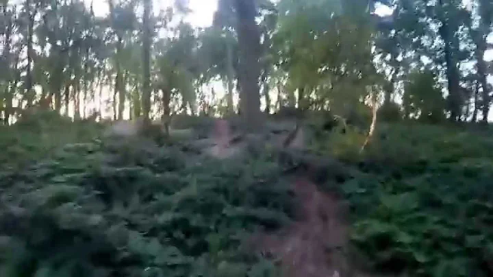 ALV Trains, trails, summer 2015, gopro POV Neil St...