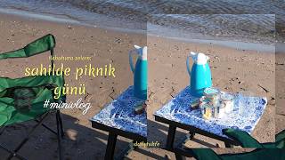 Senin Zindanının Çatısı Bu Kadar Güzelse Ilkbaharın Ilk Pikniği, Mini Vlog