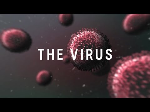 the-virus:-updates-on-coronavirus-for-13-march-|-abc-news