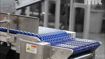 Plastic Modular Belt Conveyor with Transfers