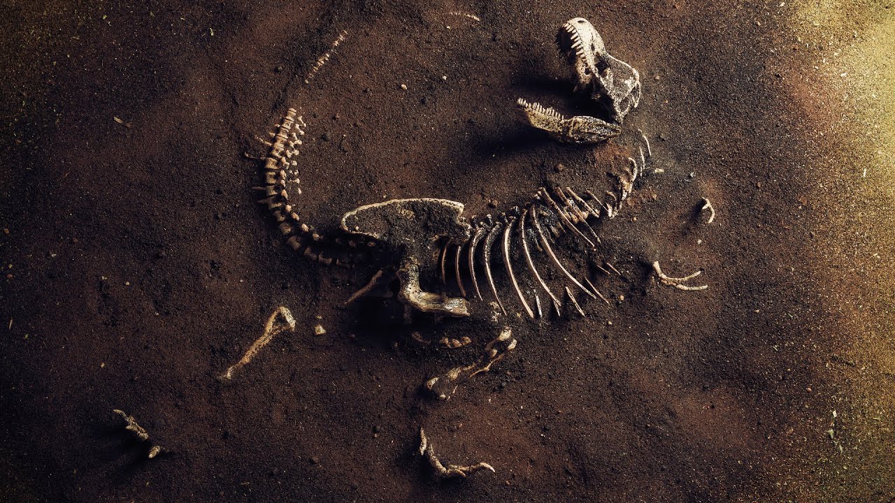 Why Was There a War Over Dinosaur Bones