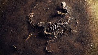 Why Was There a War Over Dinosaur Bones?