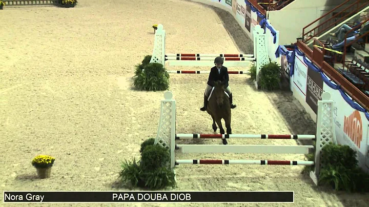 935 PAPA DOUBA DIOB Nora Gray, Class 48c Equitatio...