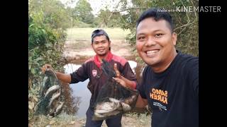 Mancing Baung Super Di Sungai Kampar Rantau Kasih Kampar Riau