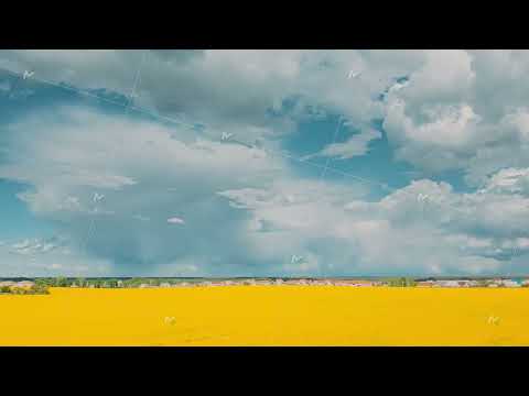 Dramatic Sky With Rain Clouds On Horizon Above Rural Landscape Canola Colza Rapeseed Field. Small