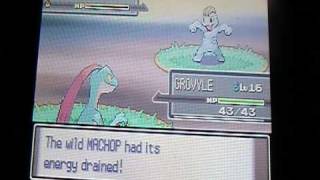 Test Video My 3 Sr Shinies, Plus A Surprise Visitor