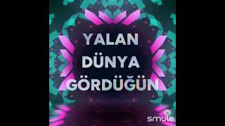 Yaşadında Ne Gördün Karaoke Resimi