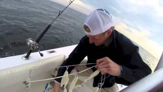 Barrington Beach Stripers