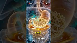 What Happens Inside Your Body When You Eat Instant Ramen