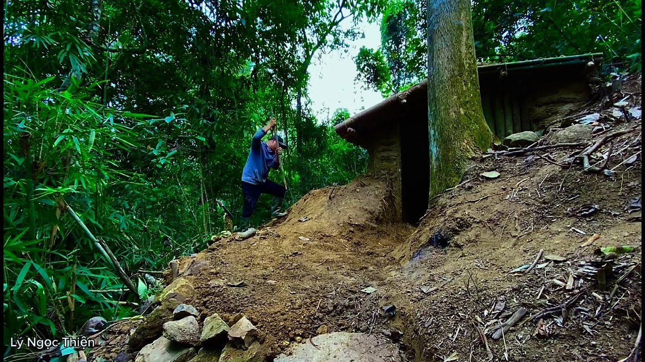 Full video of 30 days of survival alone in the forest,build shelter ...