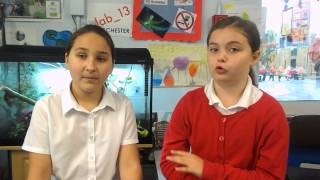 Why Schools Need Lab13