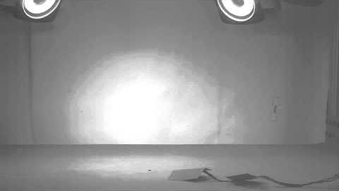 Flapping-wing robotic insect with passive stability and altitude control