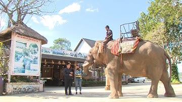 Sắc màu dân tộc: Tìm về văn hóa M