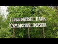 Национальные парки и заповедники Саратовской области. Мастер-класс «Кормушка для птиц»