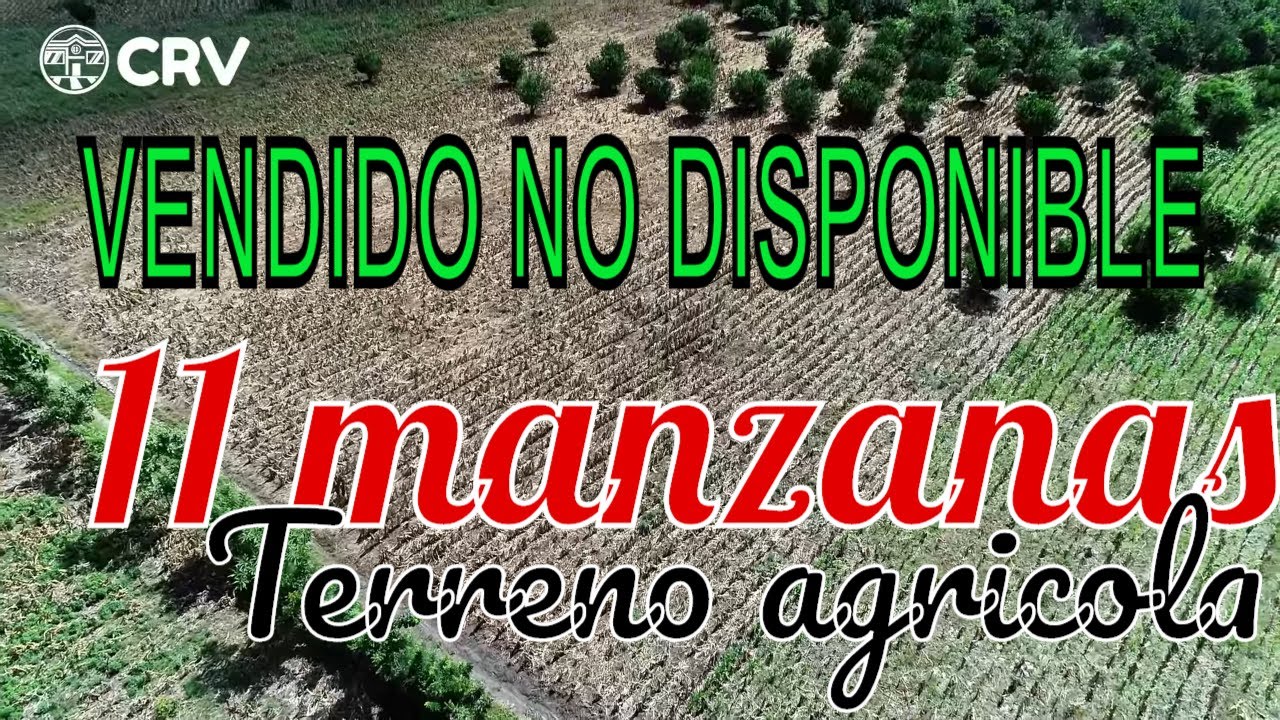 11 Manzanas de terreno agricola Ahuachapan VENDIDAS NO DISPONIBLE