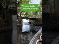 Embark on a serene journey through the enchanting Lakes of Killarney.