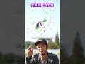 なす栽培総まとめ 切り抜き #家庭菜園