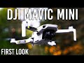 DJI Mavic Mini Drone - Specs & Footage | First Look