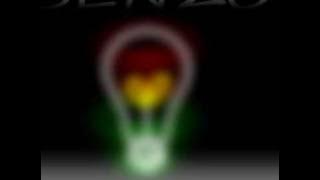 Senzo - Who's Gonna Care