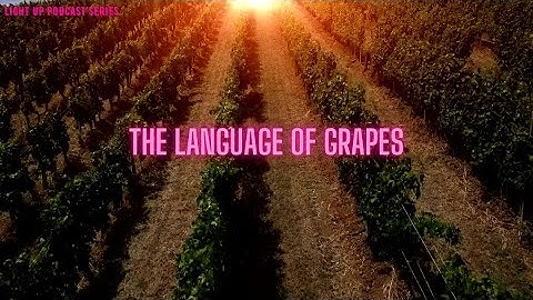 The Language of Grapes - A Song Inspired by the Rich History of the Vineyard