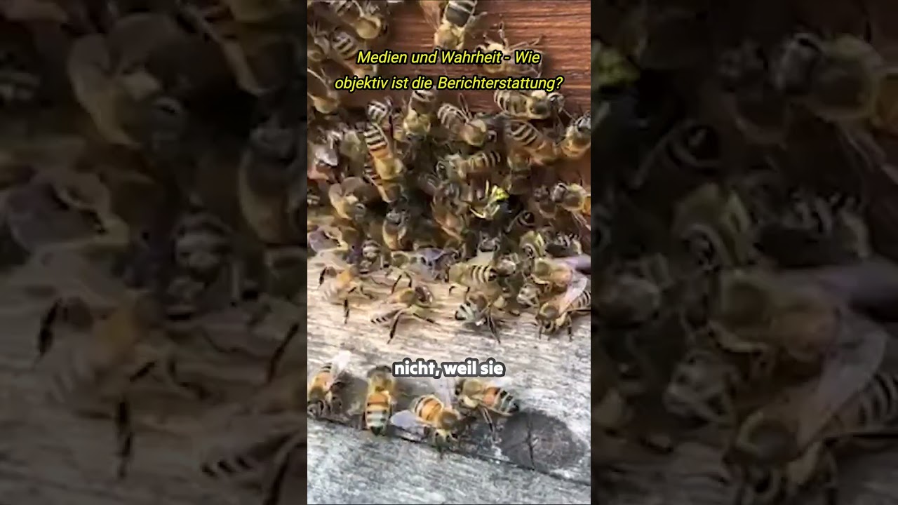 Medien und Wahrheit - Ein kritischer Blick hinter die Kulissen