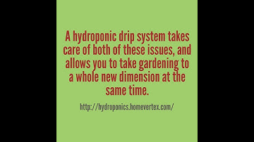 Basic of a hydroponic drip system