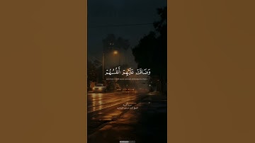 #quran #المنشاوي #عبدالباسط_عبدالصمد #قران_كريم #قرآن #عبدالرحمن_مسعد #الحصري #تلاوات #تجويد #تلاوة