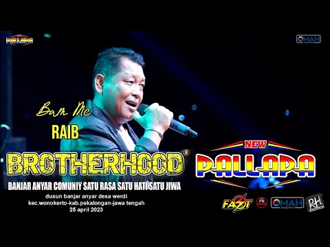 RAIB (BUNGA DESA) BAMS MC - NEW PALLAPA - LIVE BROTHERHOODS 2023