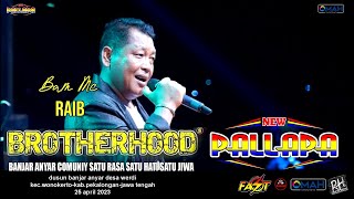 RAIB (BUNGA DESA) BAMS MC - NEW PALLAPA - LIVE BROTHERHOODS 2023