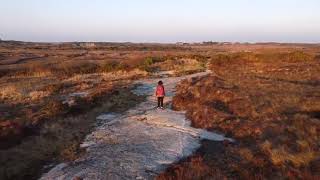 A walk through the Moycullen bog #shorts #hiking #ireland #drone #solo