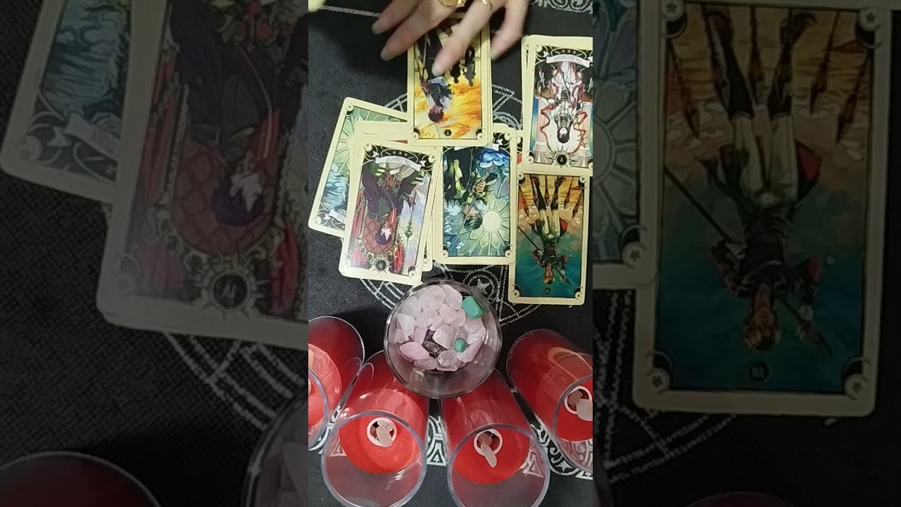 Mức độ tình cảm của họ dành cho bạn là bao nhiêu? Minh Phương tarot Zalo 097 659 8884  Em gái miền T
