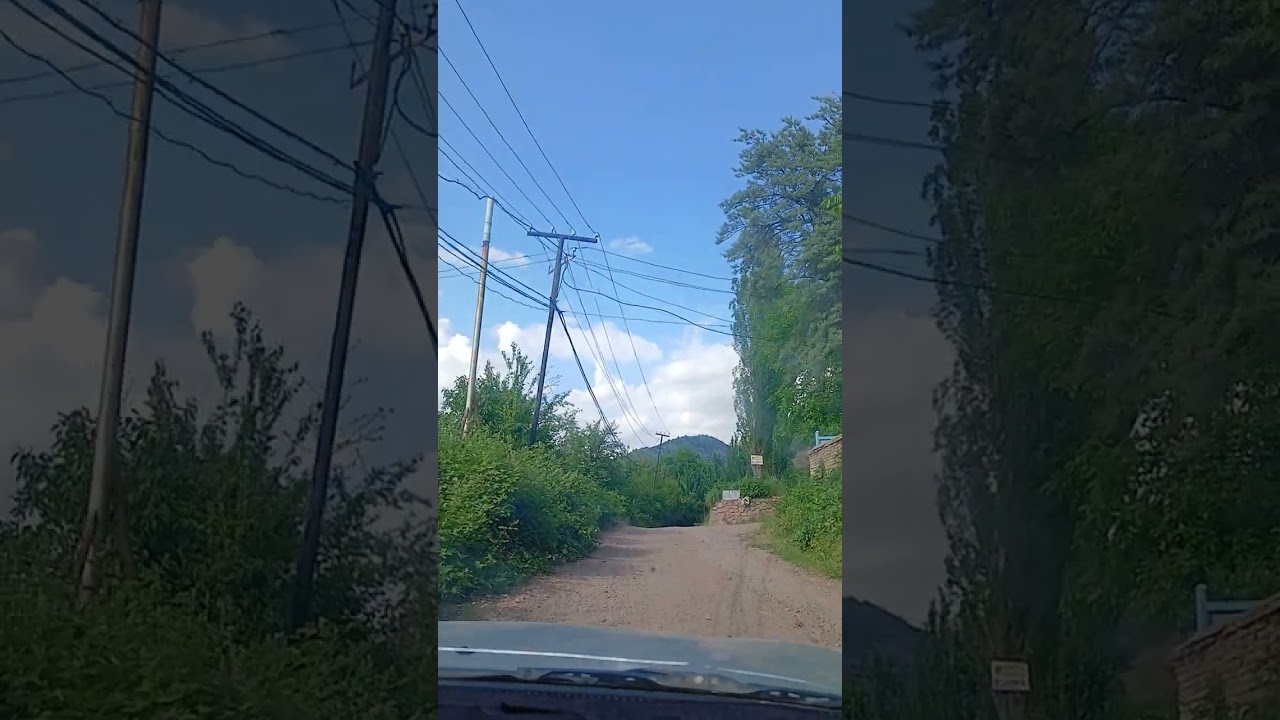 ТОГ'ДАГИ  ДАЧАЛАР.   ЯНГИ ЖОЙЛАРНИ  ИЗЛАДИК. ШУНЧАКИ  У'ЗАРО  СУХ,БАТ.