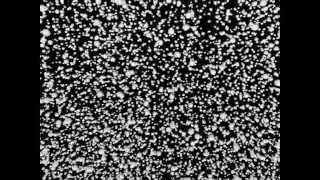 3D Imaging Of Cleared Organs 3Disco