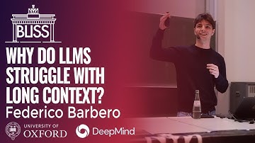Why do LLMs struggle with Long Context? | Federico Barbero, Google DeepMind | BLISS e.V.