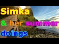 Simka and her summer doings in June, 2022