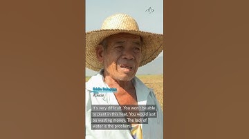 The worst drought in #philippines #drought #shorts #reels #shortsfeed