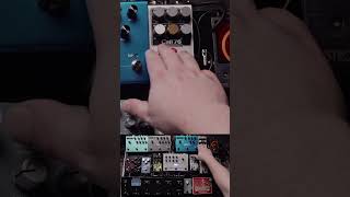 This Compressor Is the Foundation Of My Tone #guitar #pedalboard