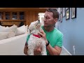 Brandon McMillan Saves a Deaf Dog