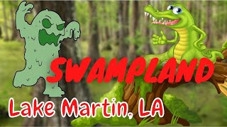 Alligator 🐊 and HUGE Spiders!!! | Lake Martin, Louisiana | SWAMPLAND 🕷🕸🕷