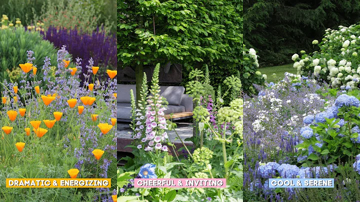 3 Color Schemes for Creating an Ambient Garden🌼🌸🌻 - DayDayNews