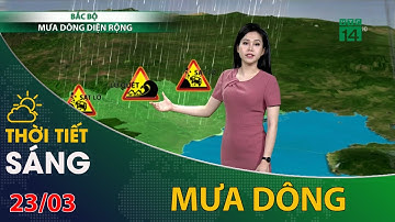 Thời tiết hôm nay 23/03/2022: Bắc Bộ mưa dông diện rộng | VTC14