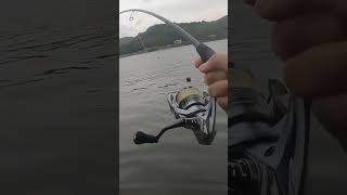 #ローリングベイト