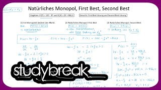 Natürliches Monopol, First Best, Second Best | Preistheorie