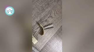 Stor Perde Montajı Sonrası Korniş Kırılmalarına Çözüm