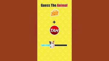Challange No 223 | Flicktale #riddle #guess #games #puzzles #brainteasers #Challange #whatami