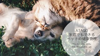 ペットの健康状態を家庭で簡単に管理！アタゴのペット用尿比重計 - YouTube